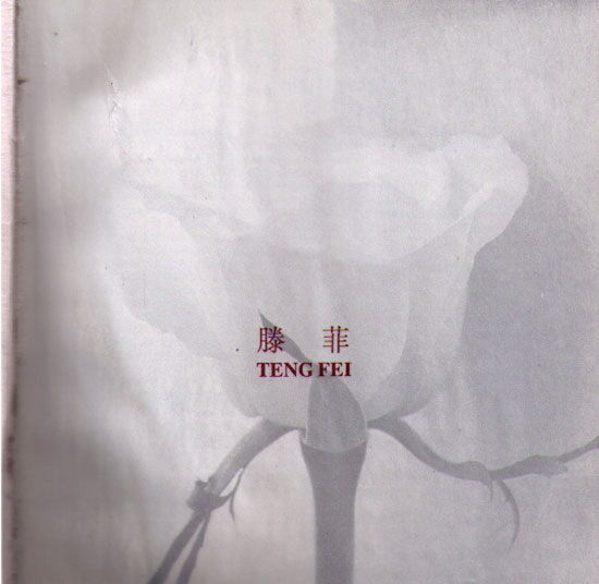 Katalog-Teng-Fei-1993